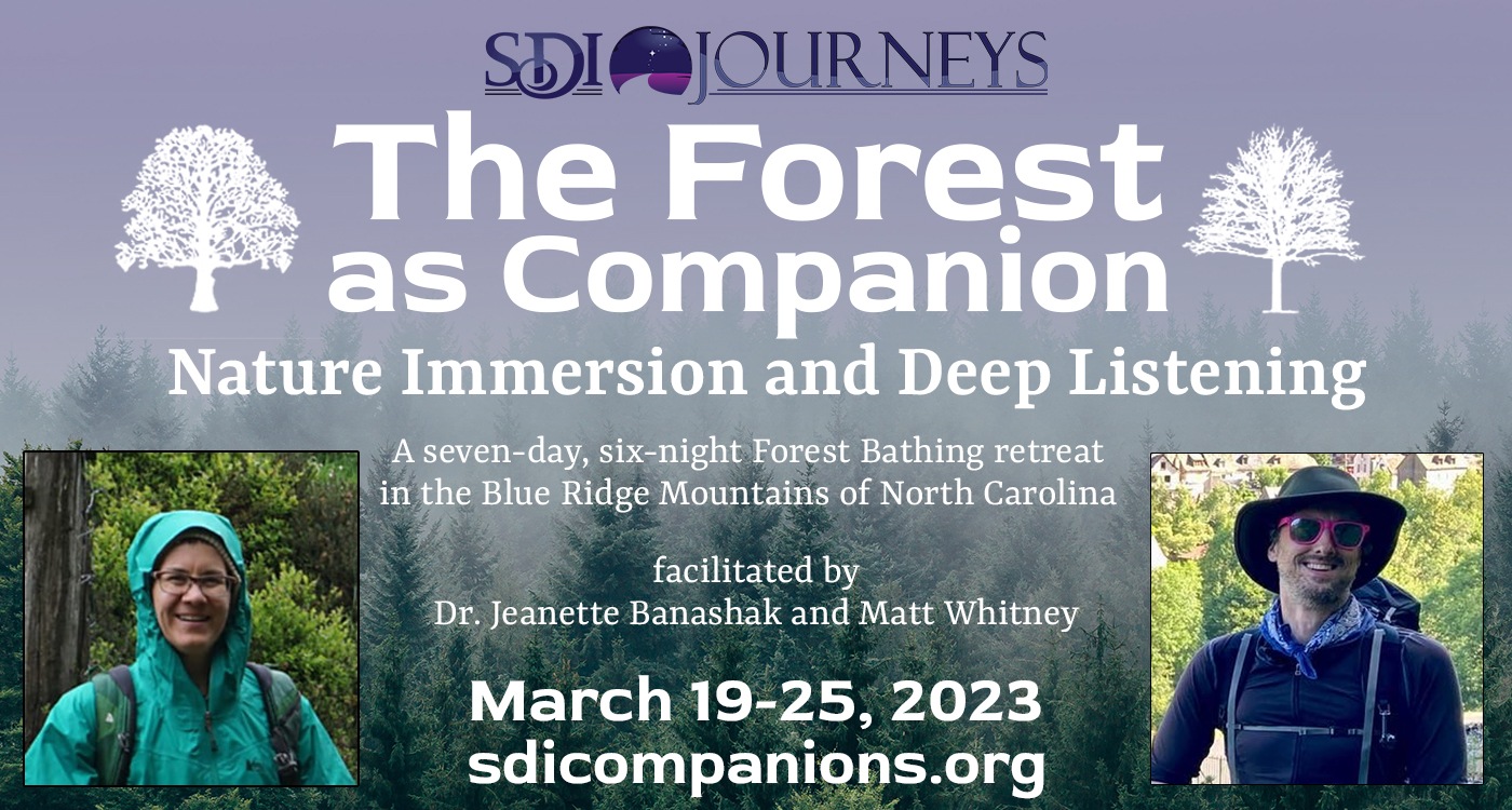 Forest Bathing – Nature Immersion – Deep Listening – A Retreat from SDI (with me!)